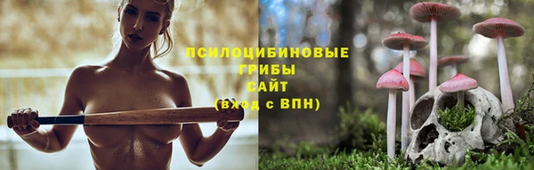 мет Елизово