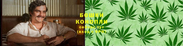 mdpv Ельня
