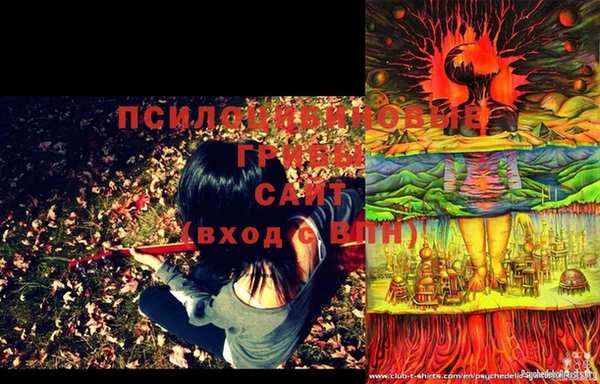 мет Елизово