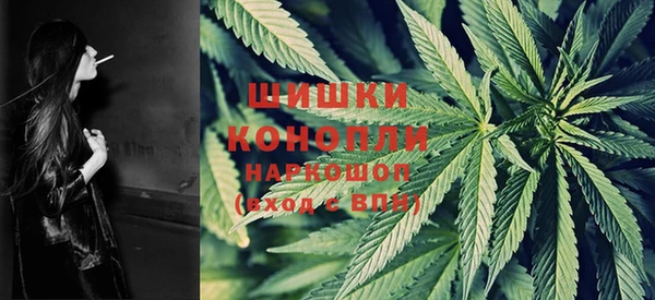 mdpv Ельня