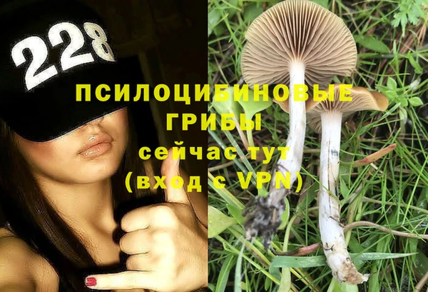 мет Елизово