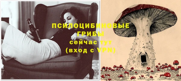 мет Елизово