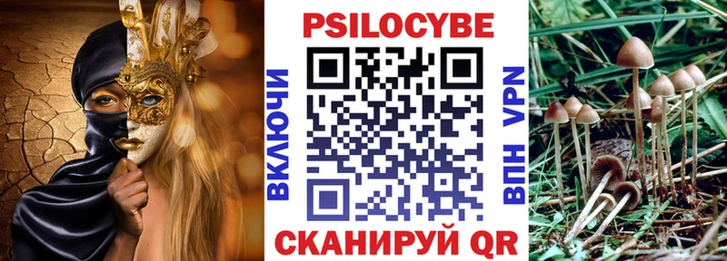 купить наркоту  Новомосковск  Галлюциногенные грибы мухоморы 