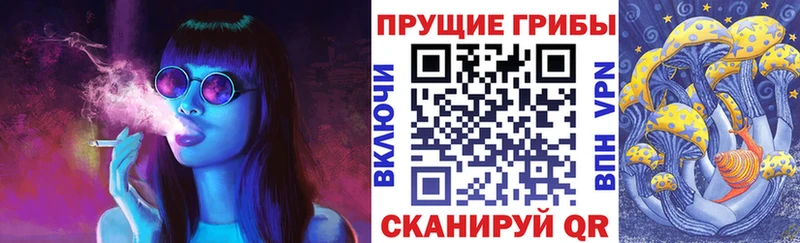 Псилоцибиновые грибы Psilocybe Новомосковск